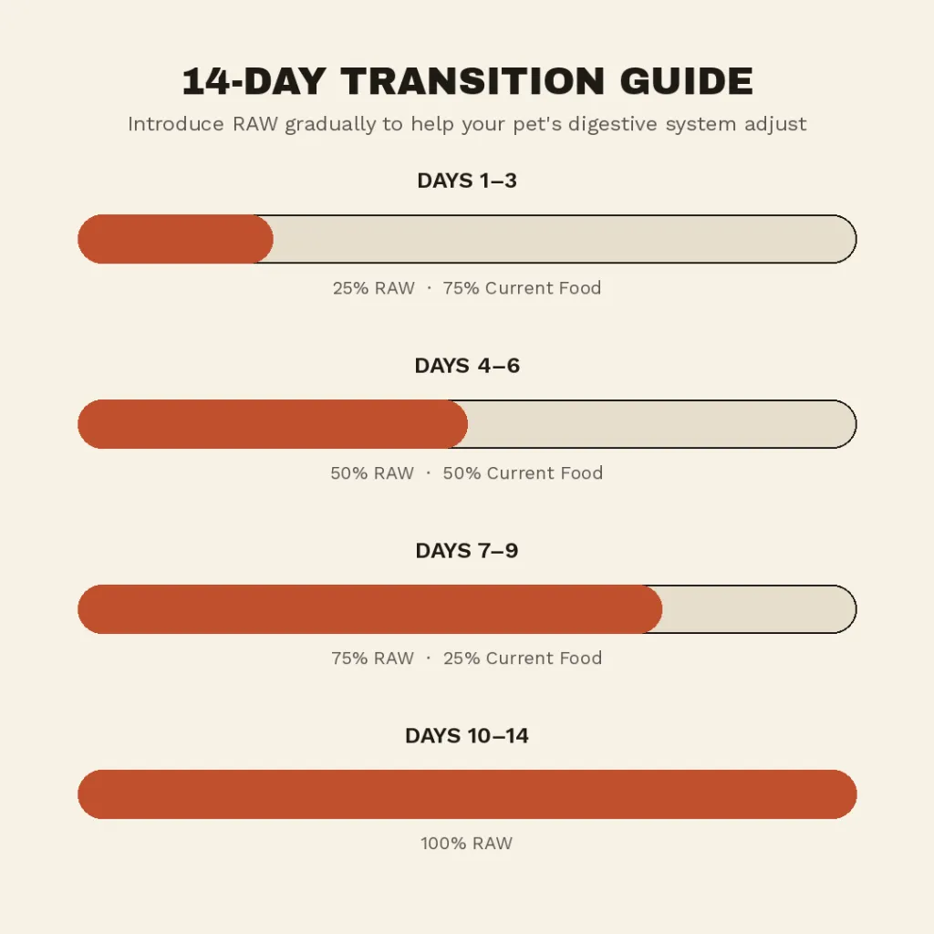 starter_pack_transition_guide_1of2.webp